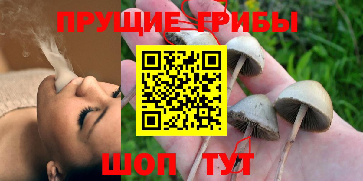 Псилоцибиновые грибы MAGIC MUSHROOMS Избербаш